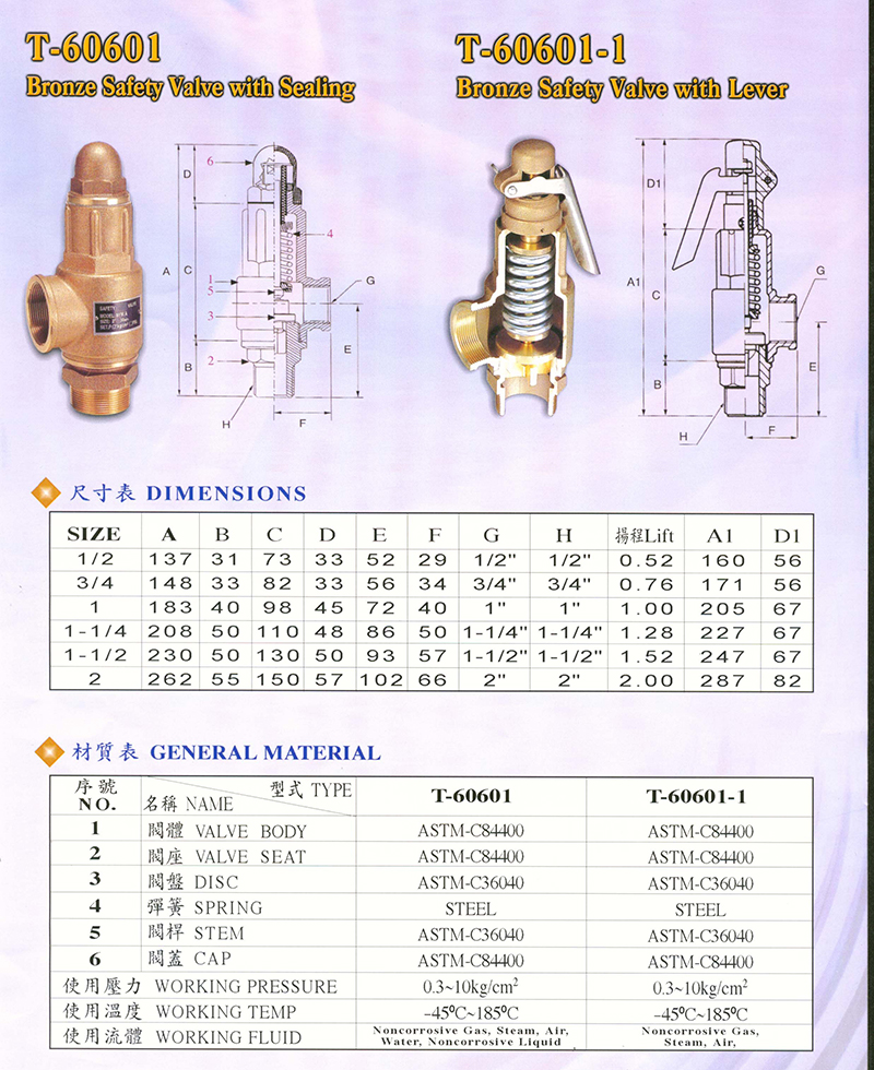 Bronze Safty Valve